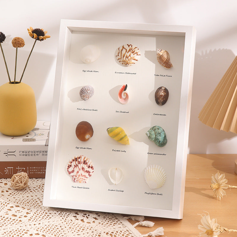 DIY 3D Natural Seashell Display Box Kit (with LED Lights) — Wooden specimen display frame for coastal-style home decor, 8.9 × 12.3 inches.