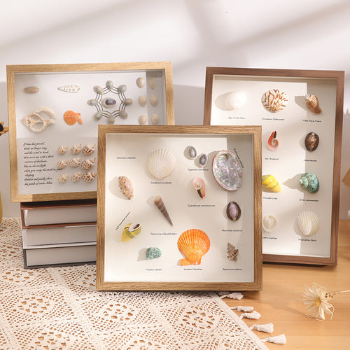 DIY 3D Natural Seashell Display Box Kit (with LED Lights) — Wooden specimen display frame for coastal-style home decor, 8.9 × 12.3 inches.