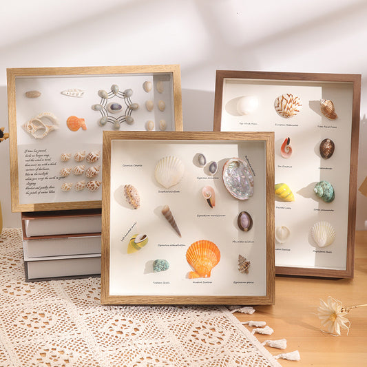 DIY 3D Natural Seashell Display Box Kit (with LED Lights) — Wooden specimen display frame for coastal-style home decor, 8.9 × 12.3 inches.