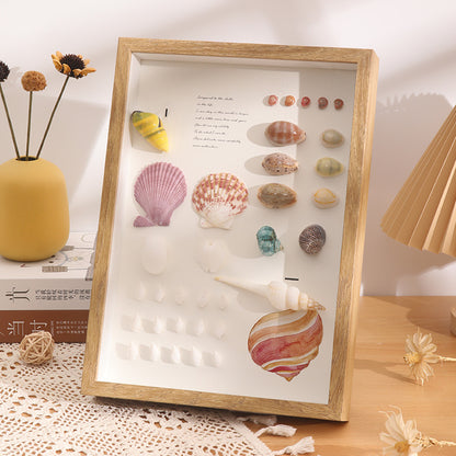 DIY 3D Natural Seashell Display Box Kit (with LED Lights) — Wooden specimen display frame for coastal-style home decor, 8.9 × 12.3 inches.
