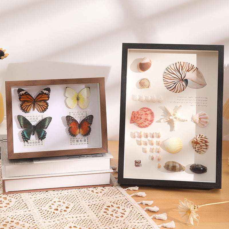 DIY 3D Natural Seashell Display Box Kit (with LED Lights) — Wooden specimen display frame for coastal-style home decor, 8.9 × 12.3 inches.