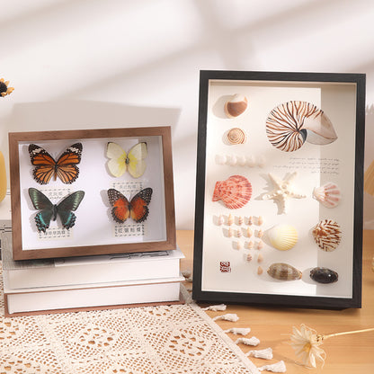 DIY 3D Natural Seashell Display Box Kit (with LED Lights) — Wooden specimen display frame for coastal-style home decor, 8.9 × 12.3 inches.