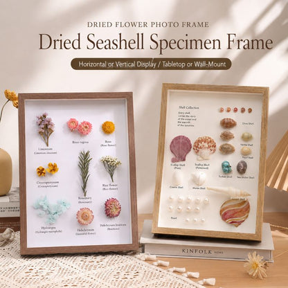 DIY 3D Natural Seashell Display Box Kit (with LED Lights) — Wooden specimen display frame for coastal-style home decor, 8.9 × 12.3 inches.